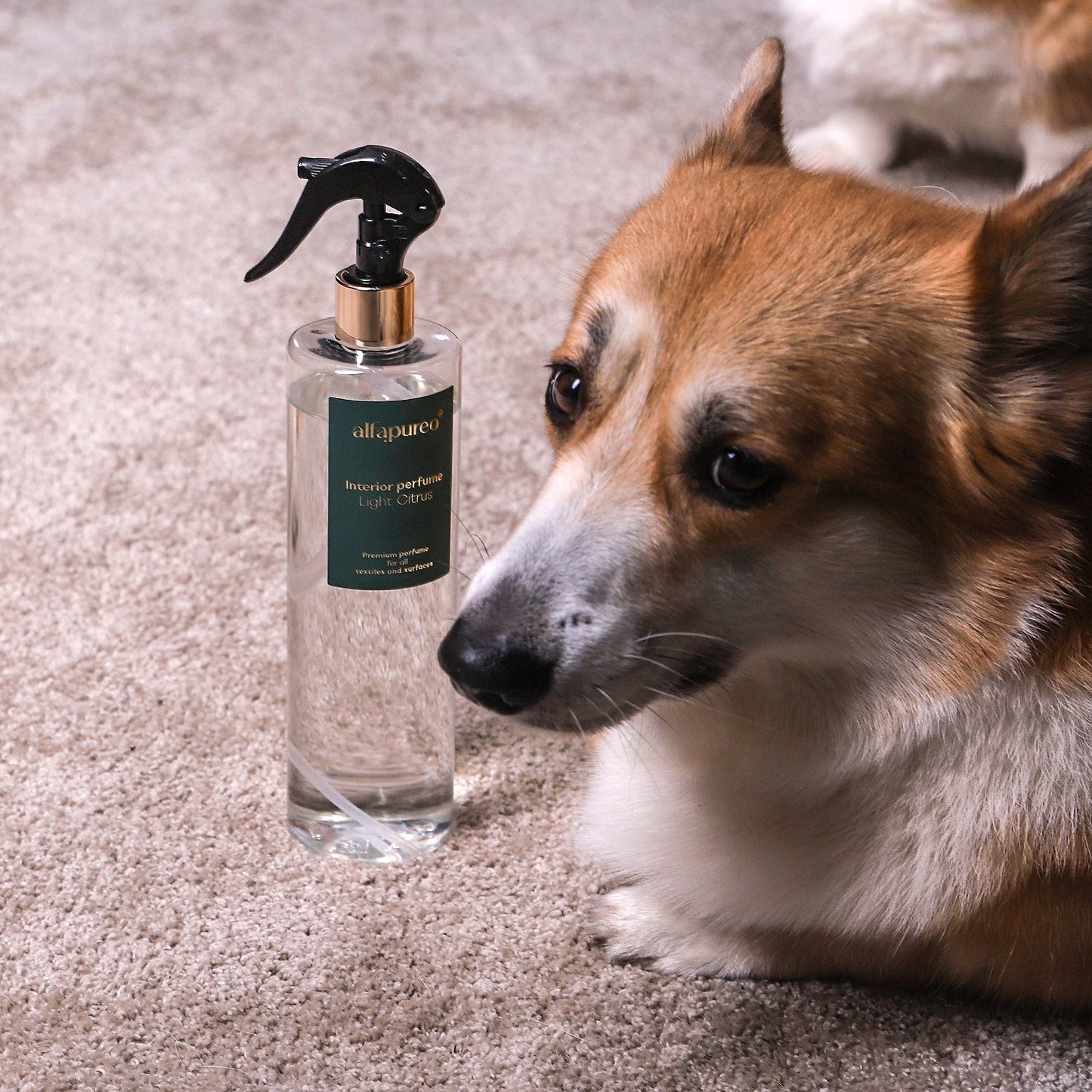 LIGHT CITRUS Textilní a bytový parfém