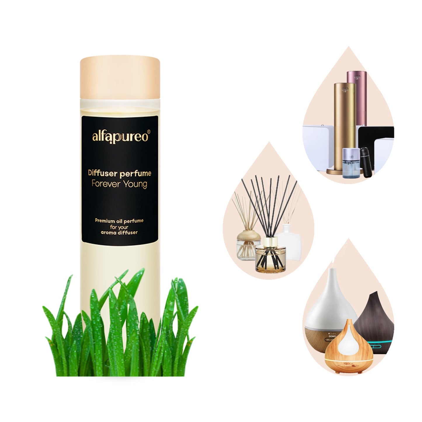 Aroma olej Forever Young