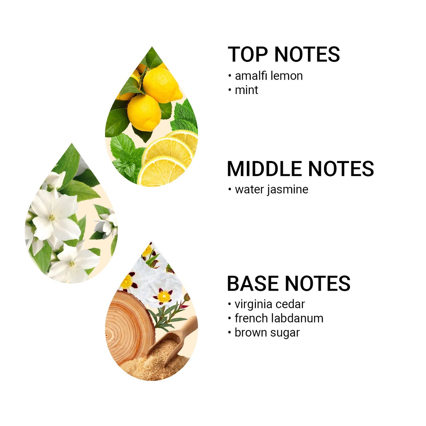 Aroma olej Jasmine Aquatic