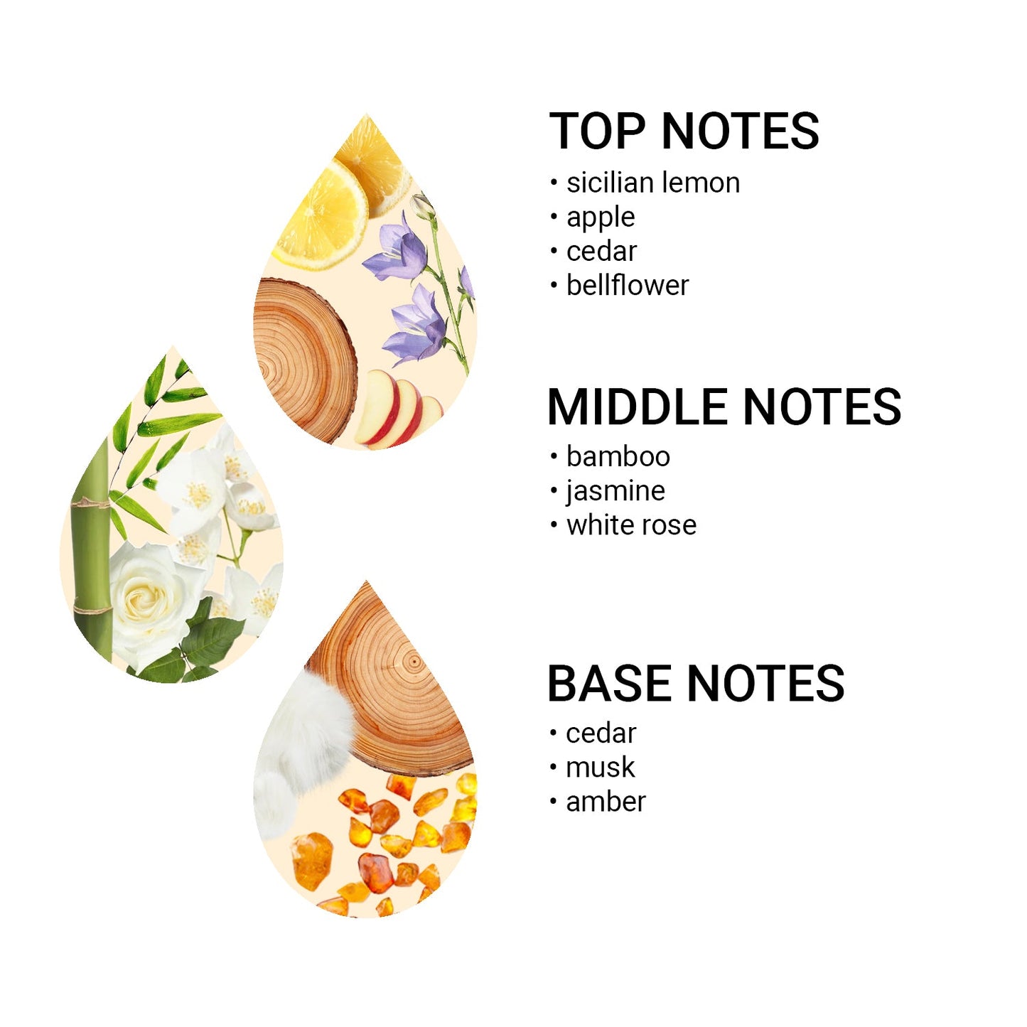 Aroma olej Light Citrus