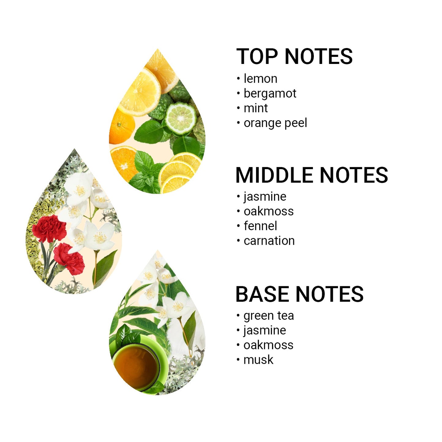 Aroma olej Matcha Green Tea